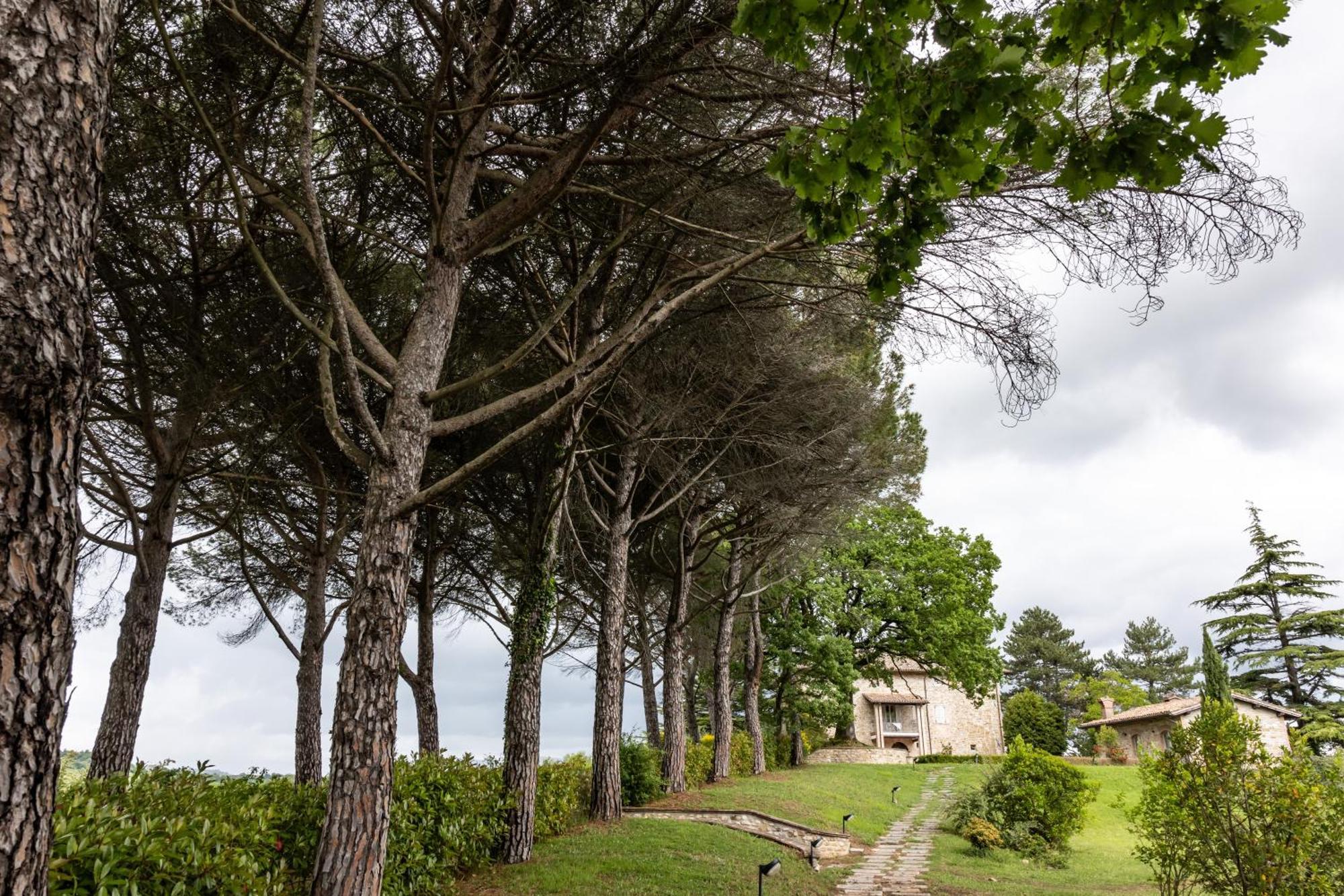 Tenuta Borgo San Michele Gubbio Bagian luar foto