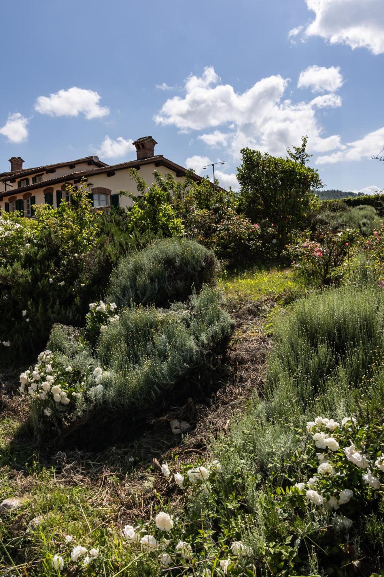 Tenuta Borgo San Michele Gubbio Bagian luar foto